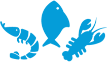 ----02 ----02
