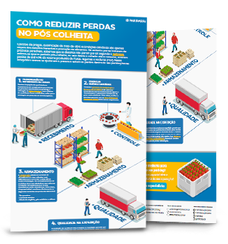 Como reduzir perdas no pós colheita