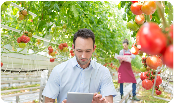 Imagem LP - Webinar Do campo à certificação Imagem LP - Webinar Do campo à certificação