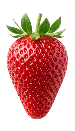 Morango-1