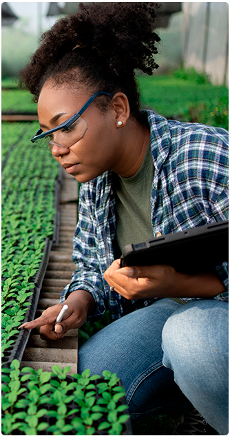 Produtor - imagem de mulher monitorando o desenvolvimento da produção agrícola