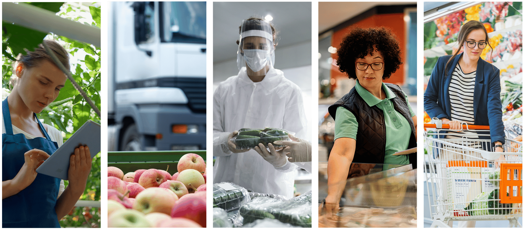imagem-elos-da-cadeia-de-alimentos-rastreabilidade-de-alimentos