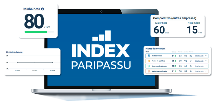 imagem-de-tela-INDEX-com-ícones