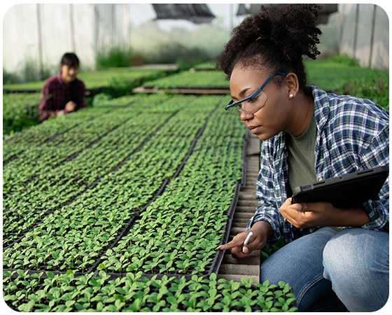 Imagem-para-webinar-a-base-da-cadeia-segura